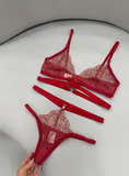 Conjunto Puro Domínio